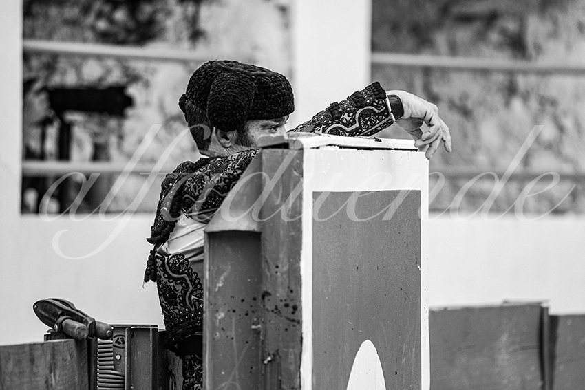 20250601 ales tarde 015 fd