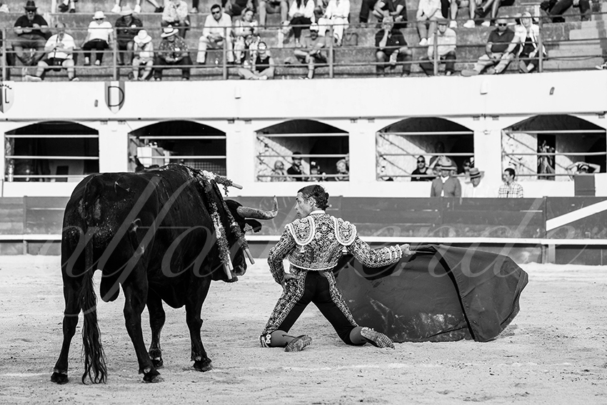 20250601 ales tarde 014 fd