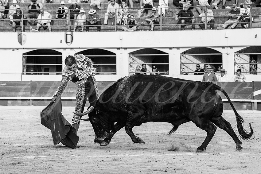 20250601 ales tarde 013 fd