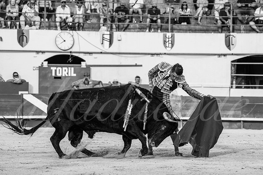 20250601 ales tarde 012 fd