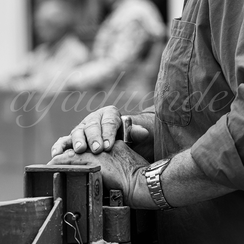 20250601 ales tarde 038 fd