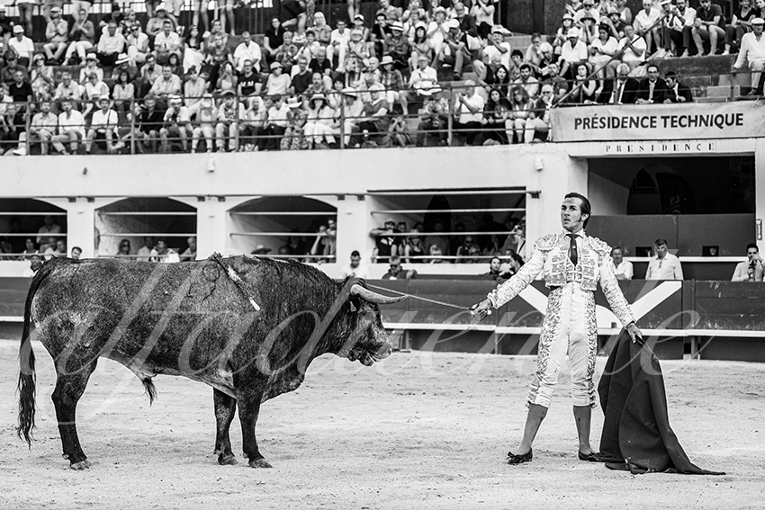 20250601 ales tarde 037 fd