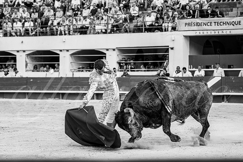 20250601 ales tarde 036 fd