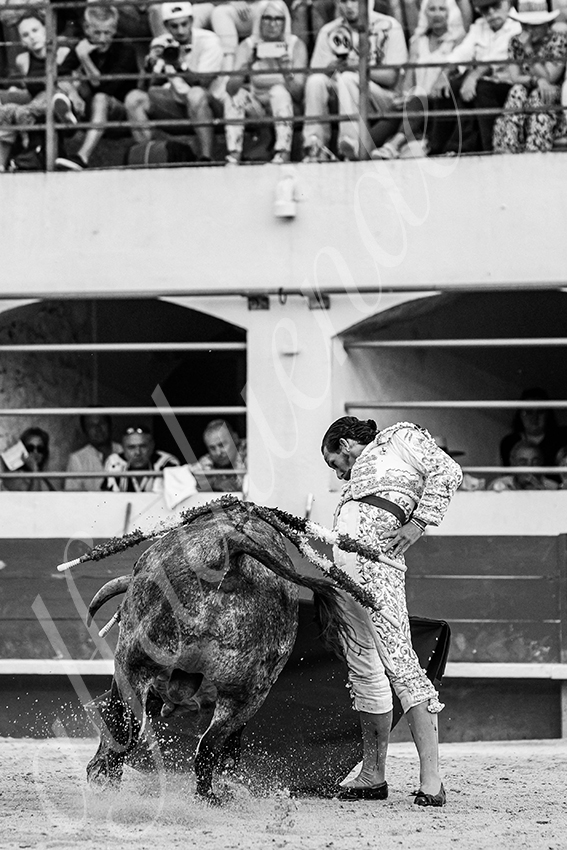 20250601 ales tarde 035 fd