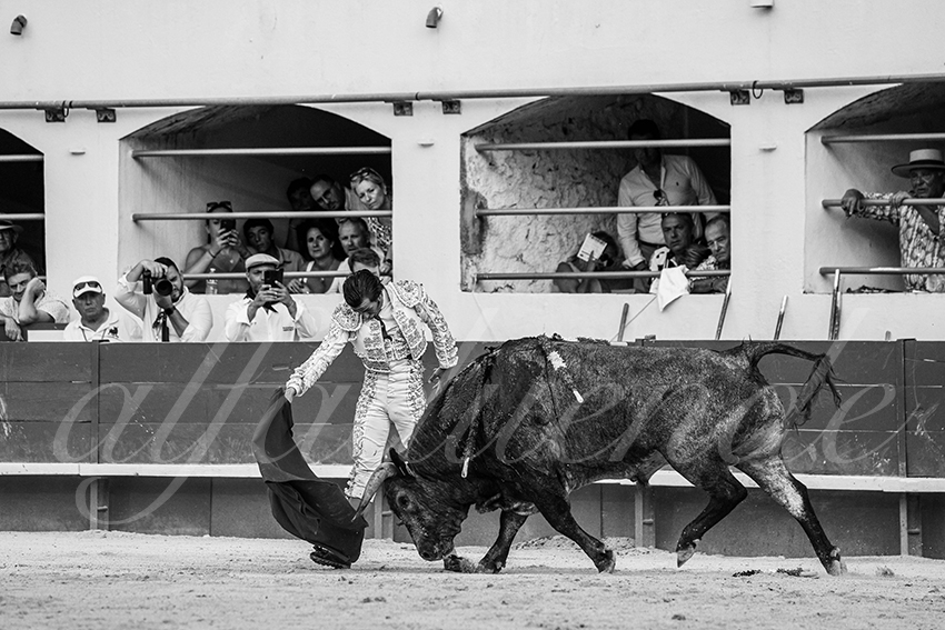 20250601 ales tarde 034 fd