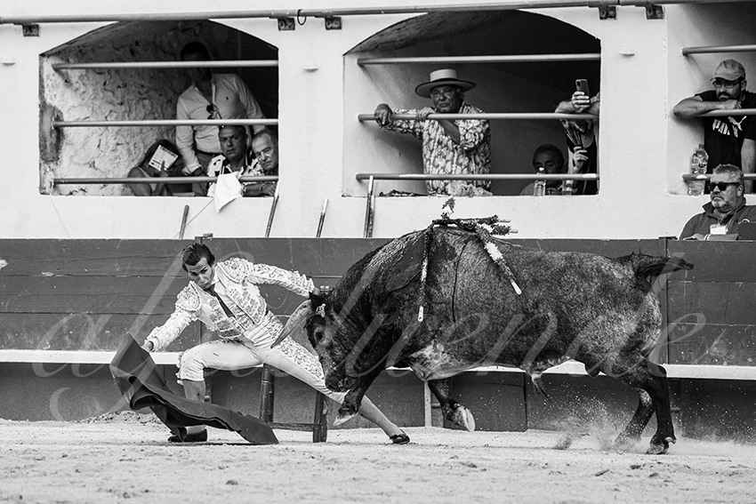 20250601 ales tarde 033 fd