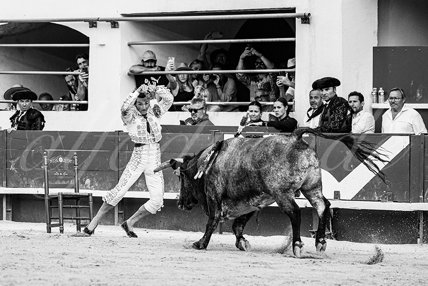 20250601 ales tarde 032 fd