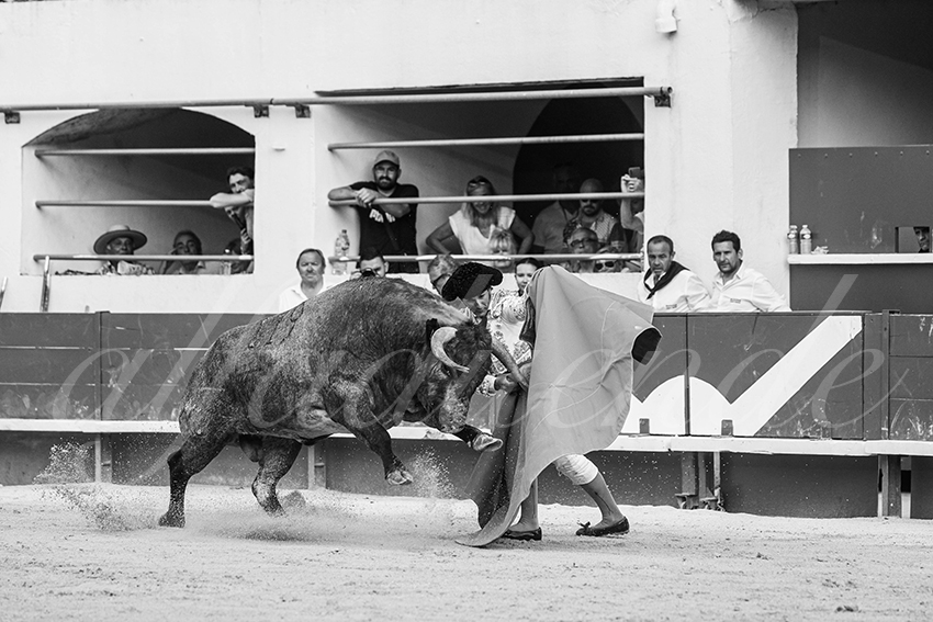 20250601 ales tarde 031 fd