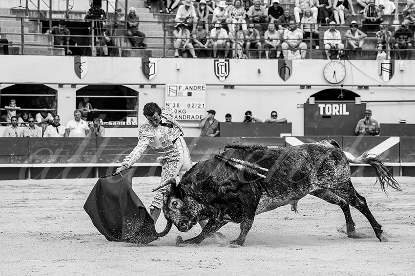 20250601 ales tarde 029 fd