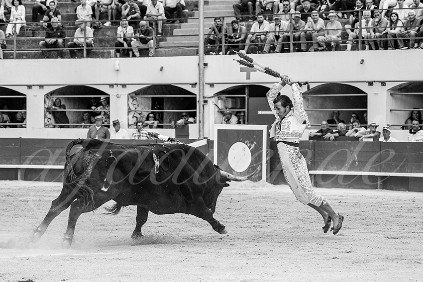 20250601 ales tarde 028 fd