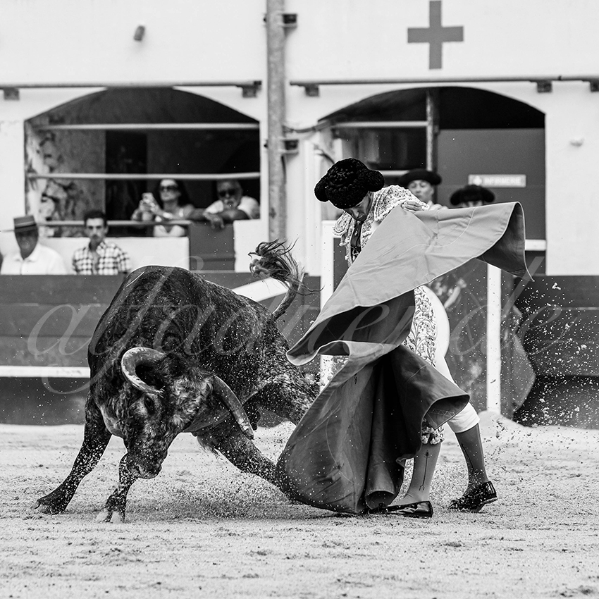 20250601 ales tarde 027 fd