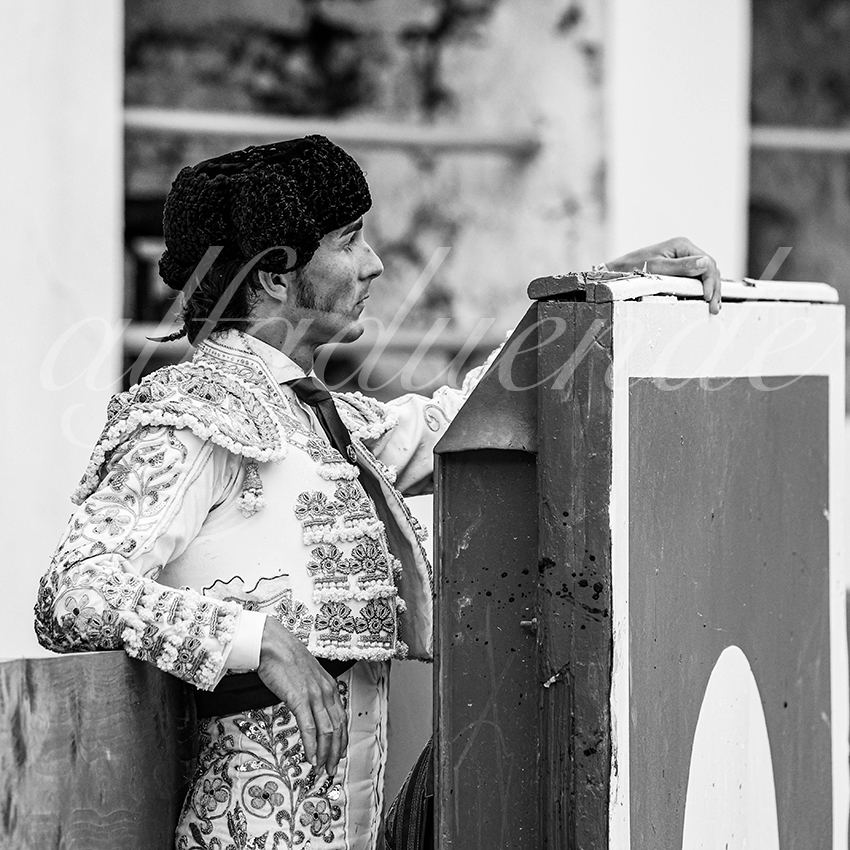 20250601 ales tarde 026 fd