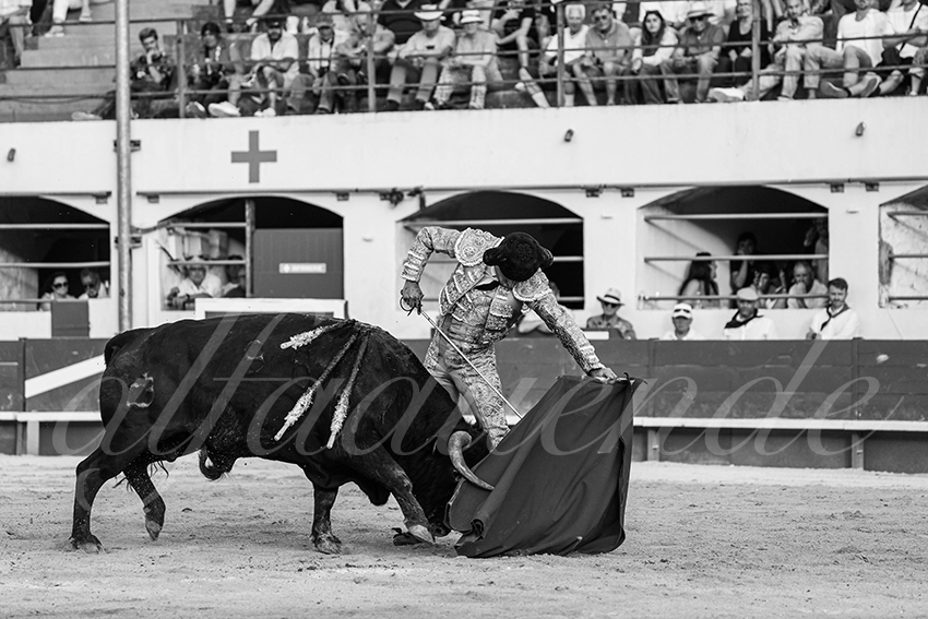 20250601 ales tarde 024 fd