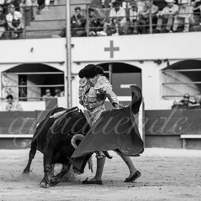 20250601 ales tarde 023 fd