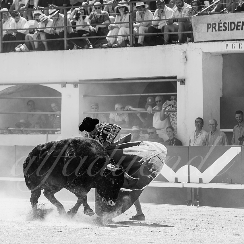 20250531 ales 011 fd