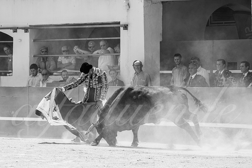 20250531 ales 010 fd