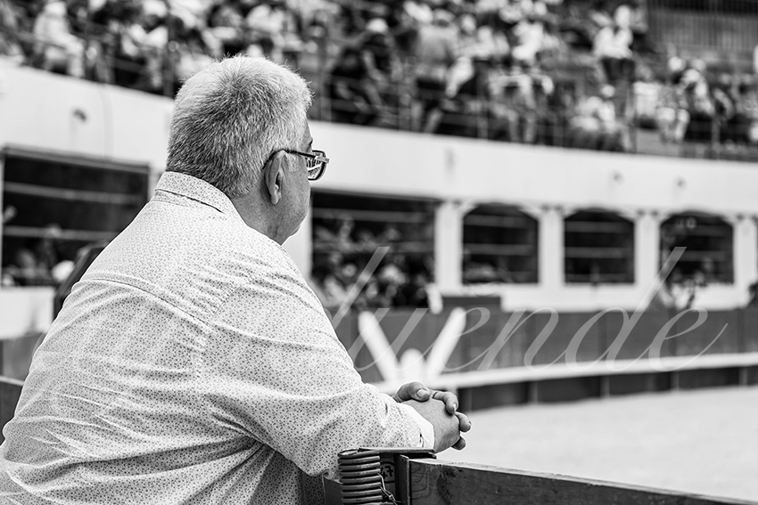 20250531 ales 009 fd