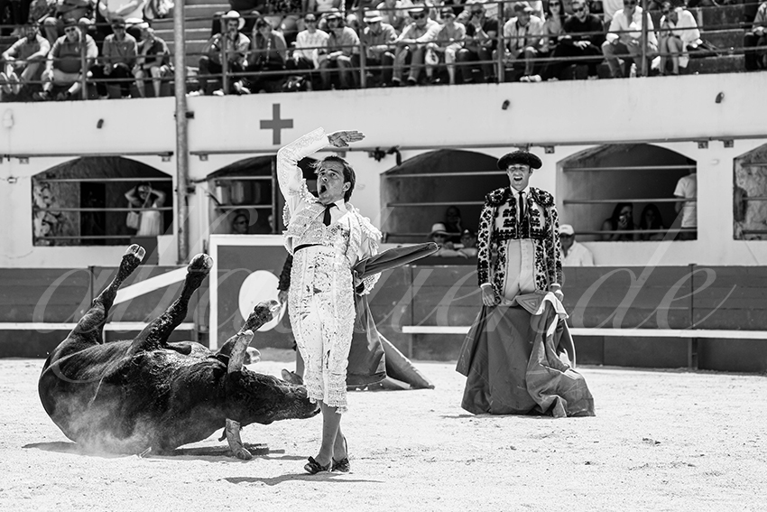 20250531 ales 008 fd