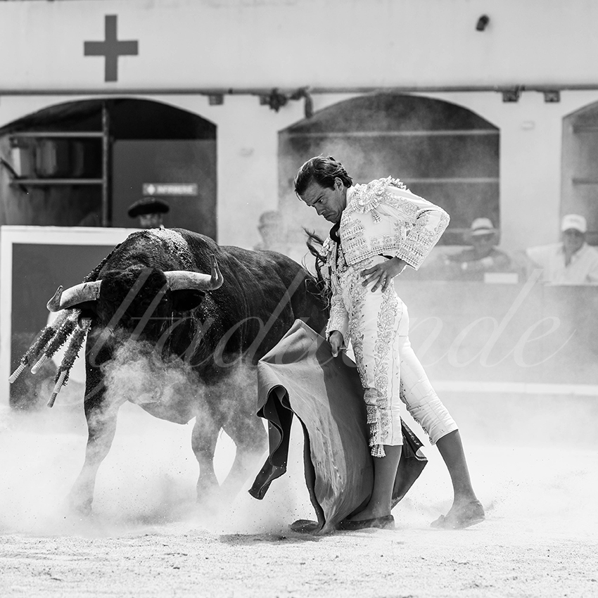 20250531 ales 007 fd