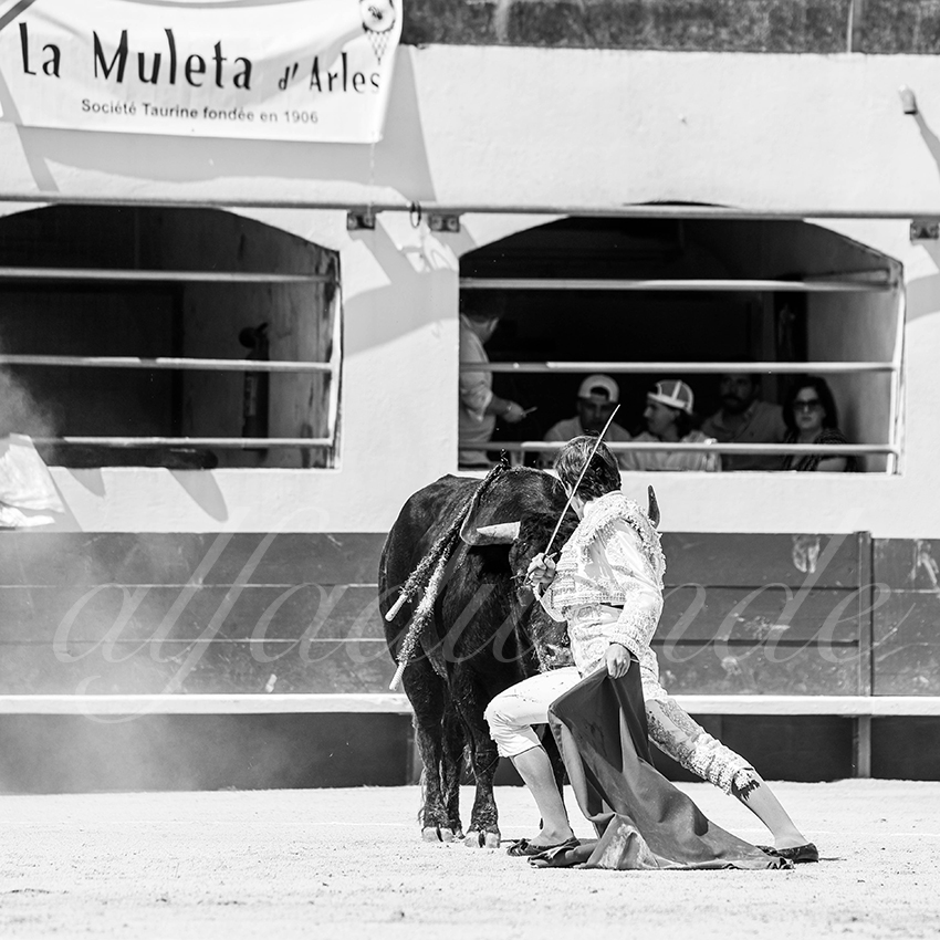 20250531 ales 006 fd