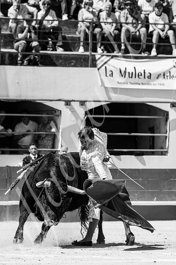 20250531 ales 005 fd