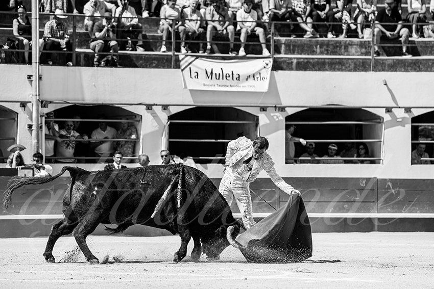 20250531 ales 004 fd