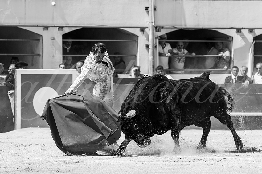 20250531 ales 003 fd