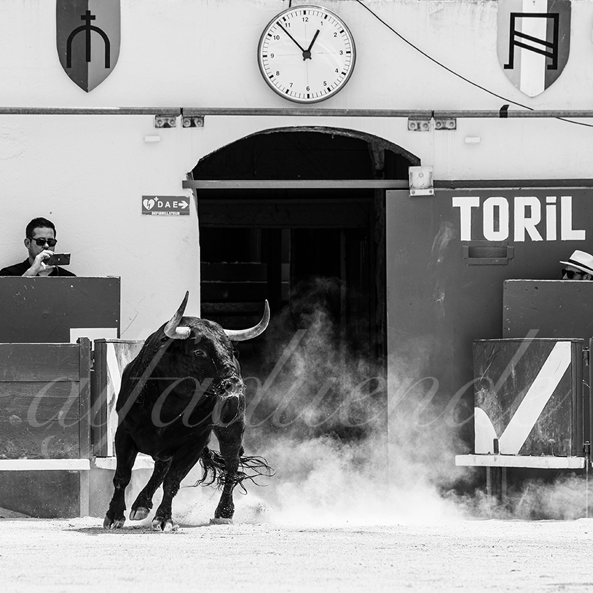 20250531 ales 002 fd