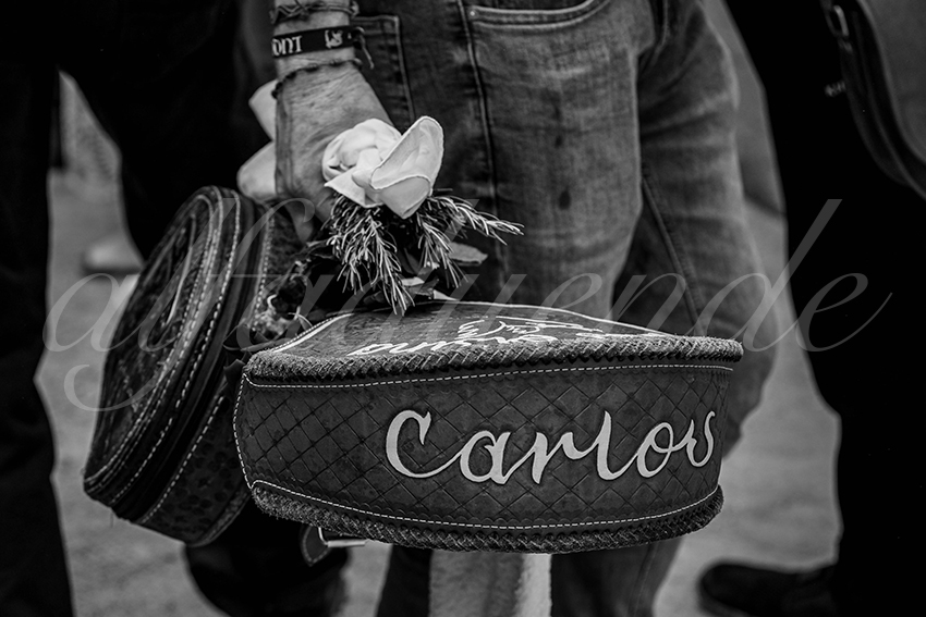 20250531 ales 001 fd