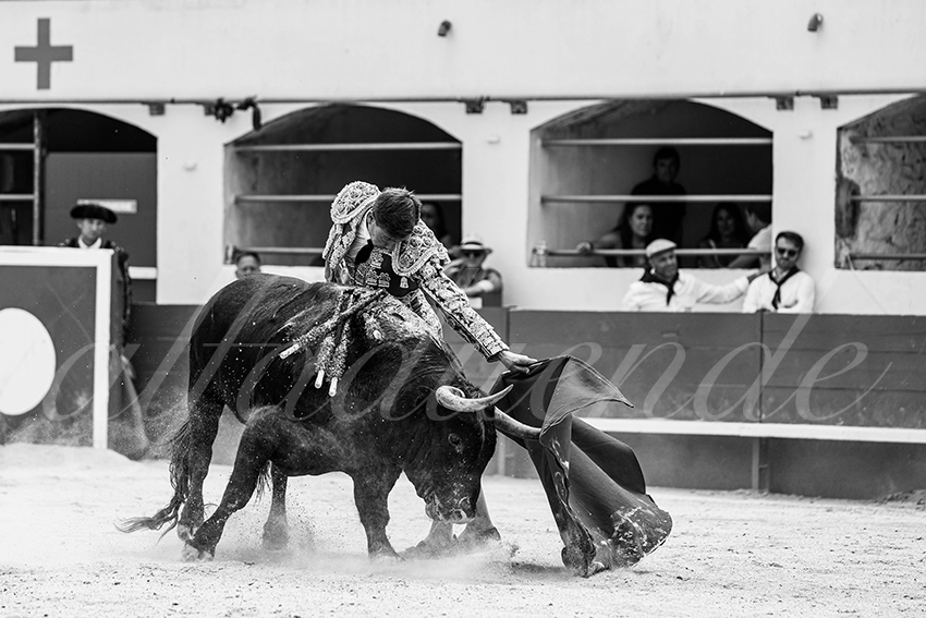 20250531 ales 022 fd