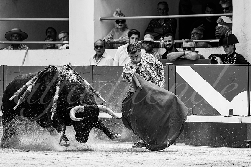 20250531 ales 021 fd