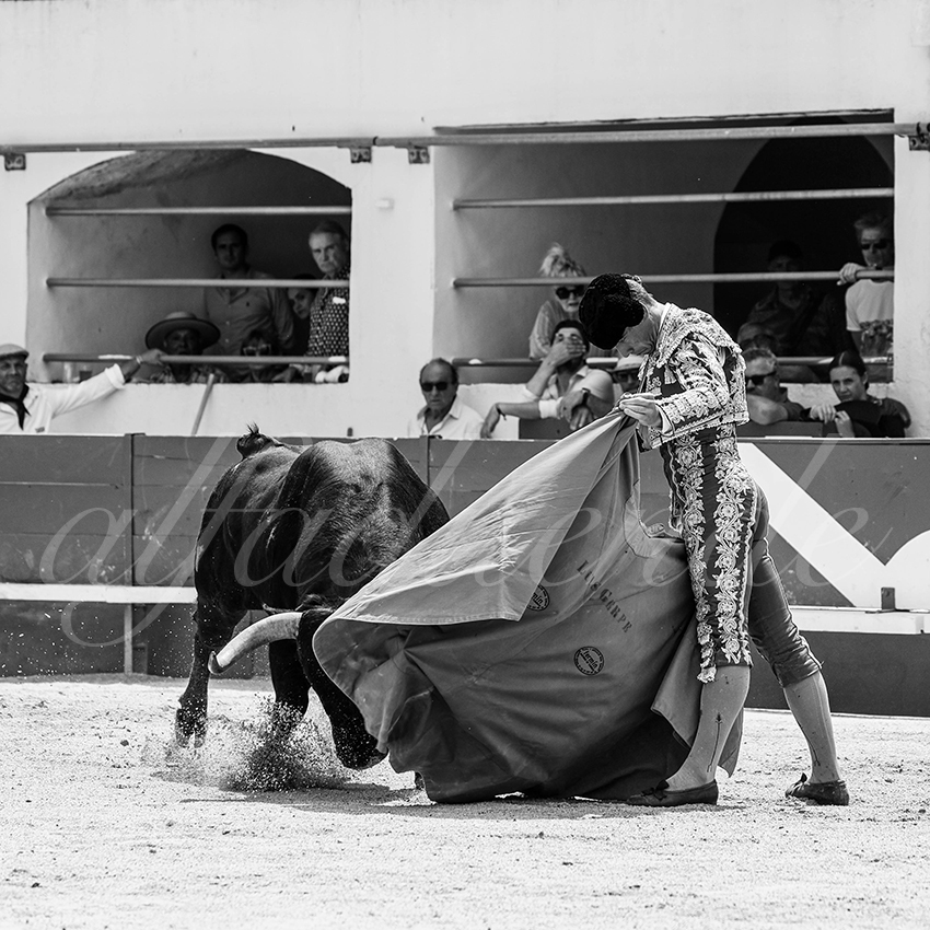 20250531 ales 020 fd