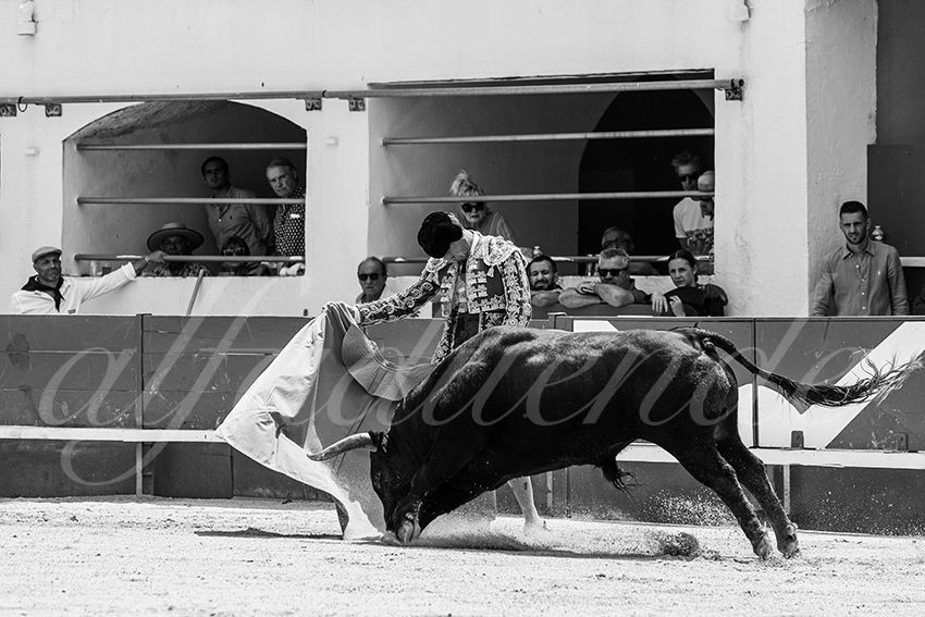 20250531 ales 019 fd