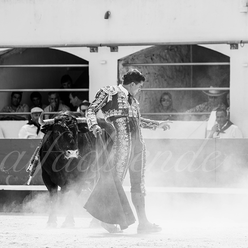 20250531 ales 018 fd