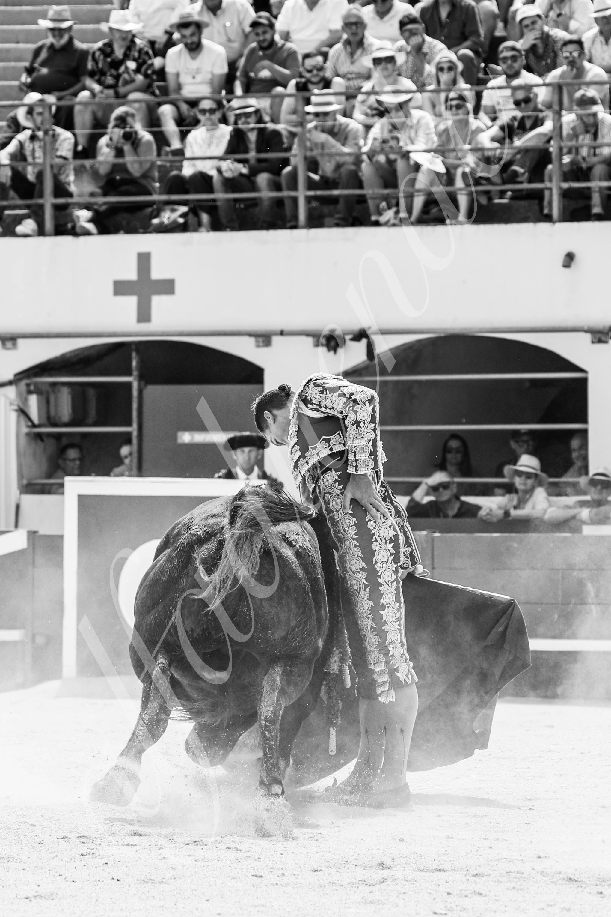 20250531 ales 017 fd