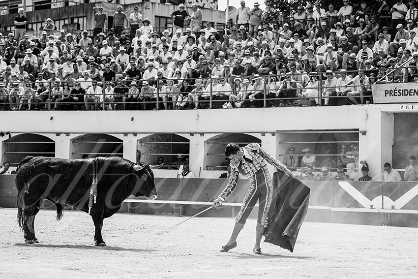 20250531 ales 016 fd