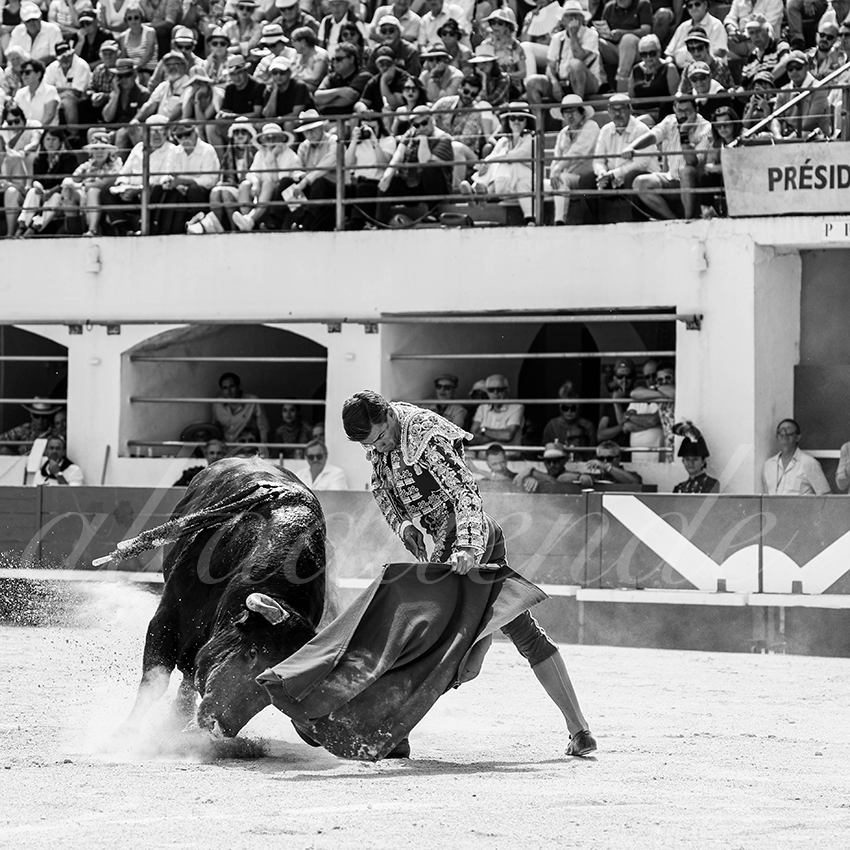 20250531 ales 015 fd