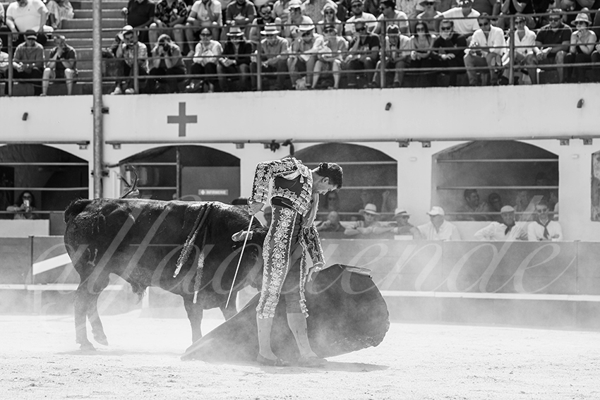 20250531 ales 014 fd