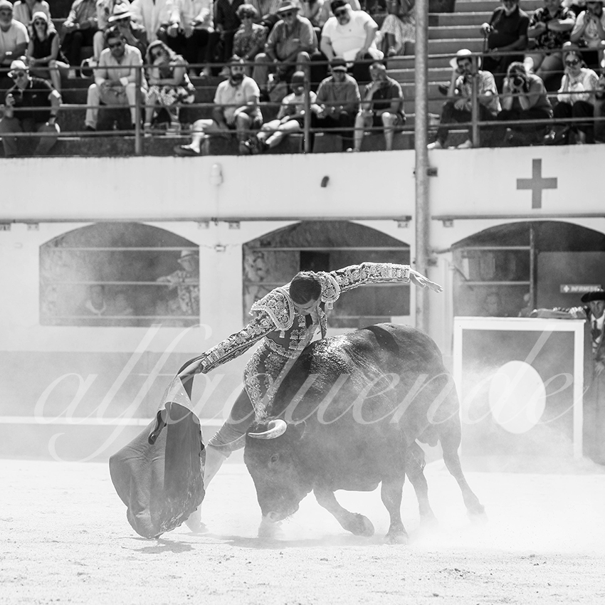 20250531 ales 013 fd