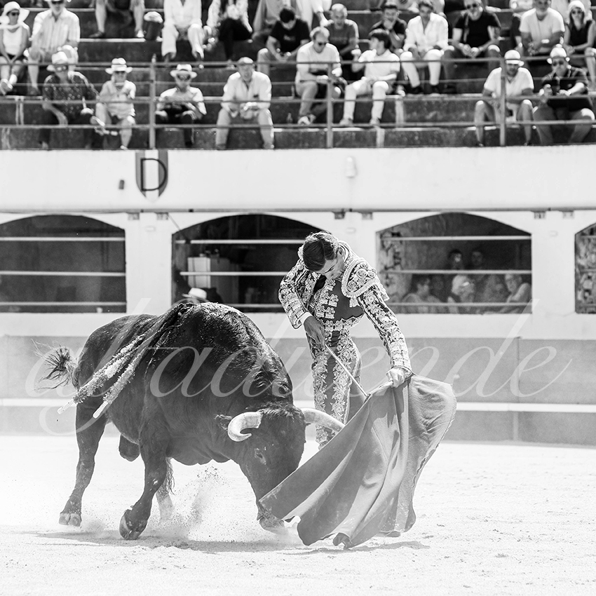 20250531 ales 012 fd