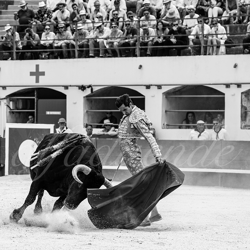 20250531 ales 036 fd