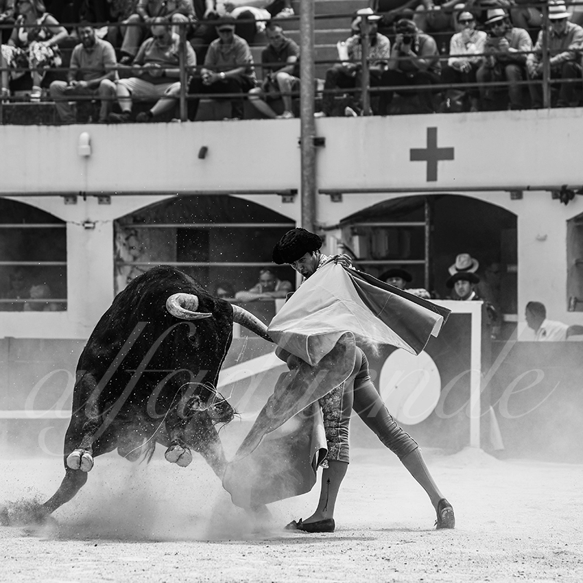 20250531 ales 035 fd