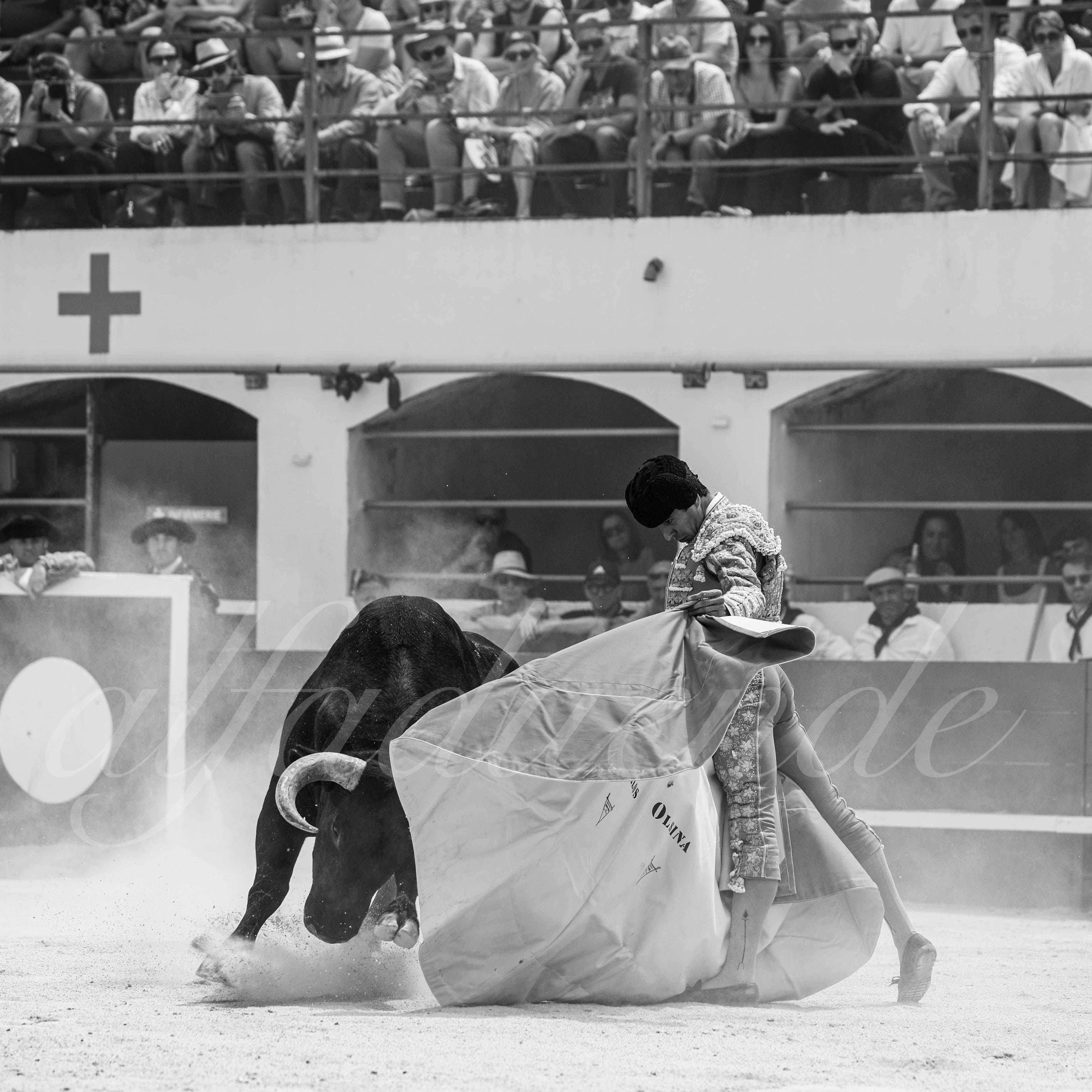 20250531 ales 034 fd