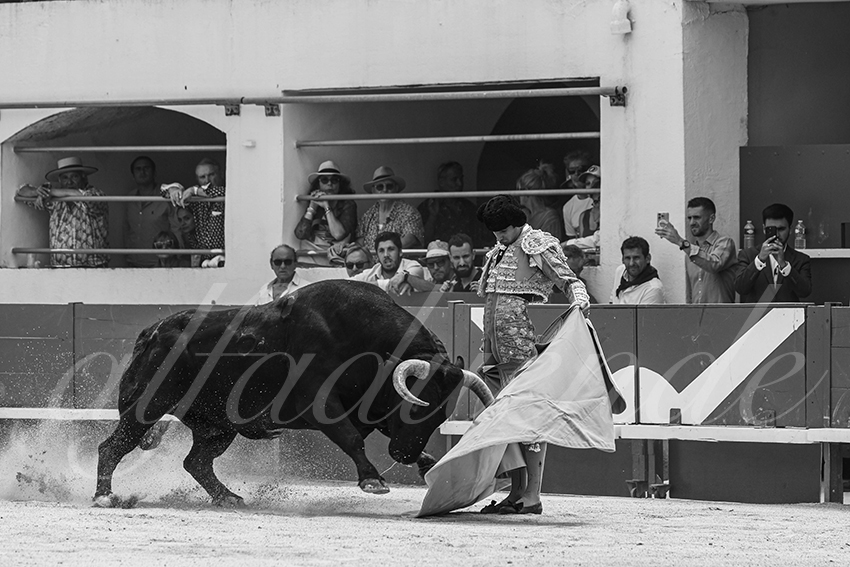 20250531 ales 033 fd