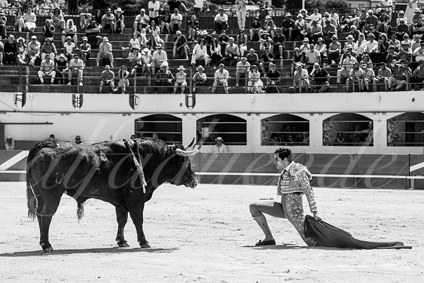 20250531 ales 032 fd