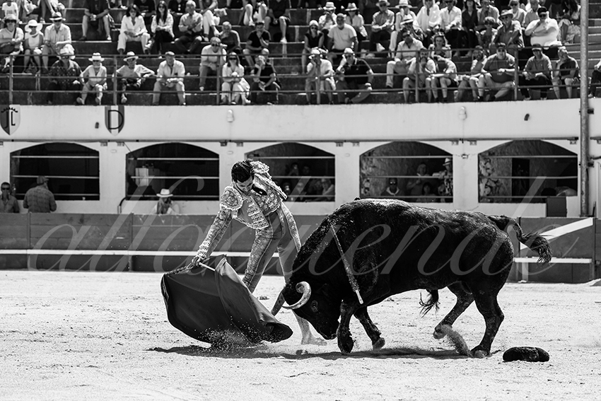 20250531 ales 031 fd