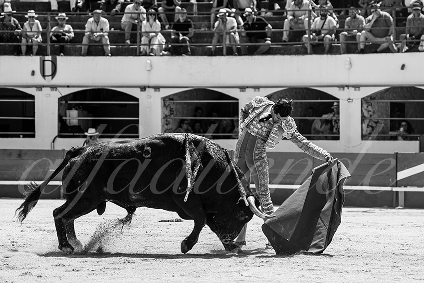 20250531 ales 030 fd