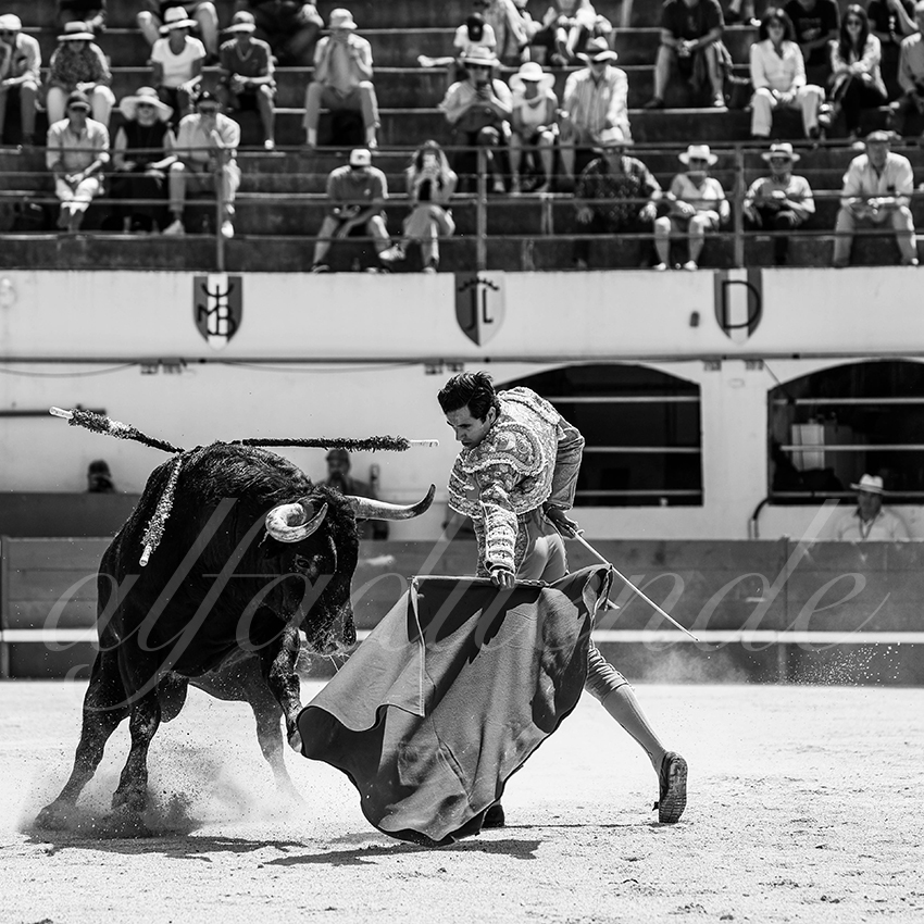 20250531 ales 029 fd