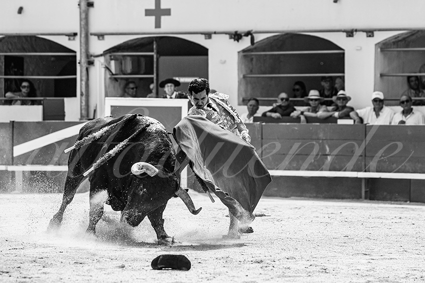 20250531 ales 028 fd