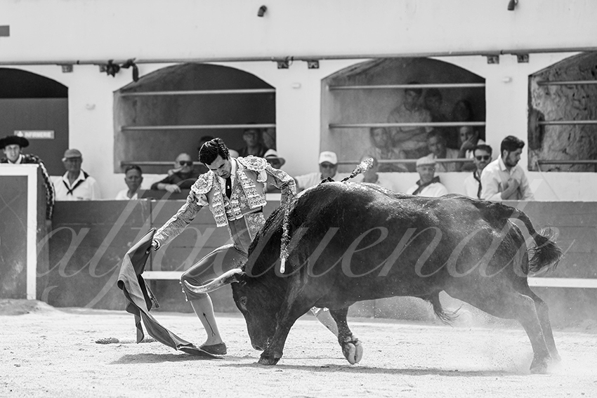 20250531 ales 027 fd